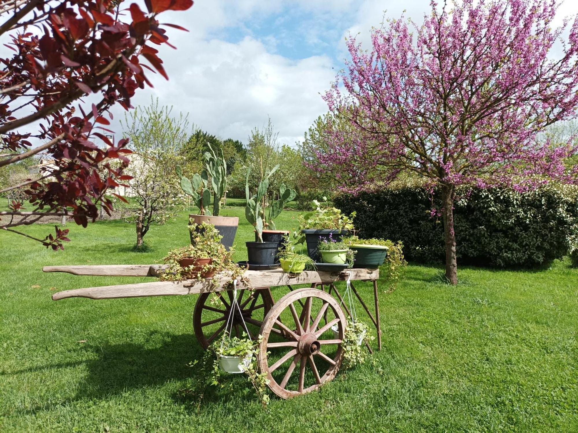 Le Logis De Lange Apt Les Aigrettes Saint-Hilaire-la-Palud Exteriér fotografie
