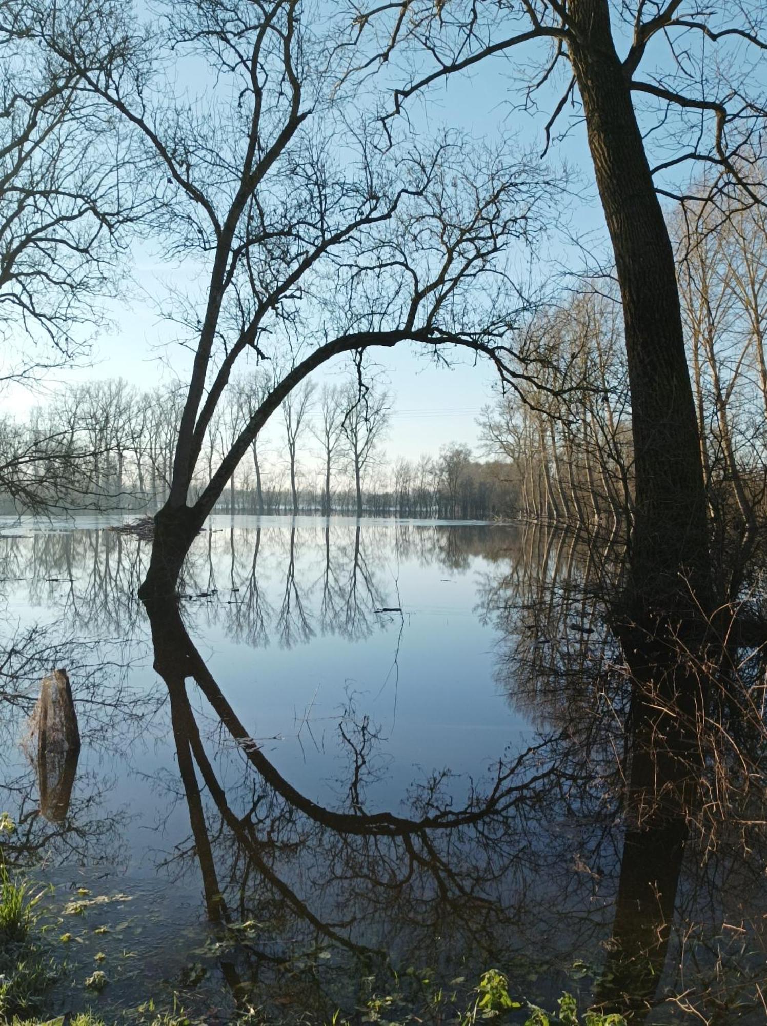 Le Logis De Lange Apt Les Aigrettes Saint-Hilaire-la-Palud Exteriér fotografie